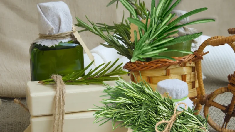 What’s all the hype about rosemary oil and hair growth?